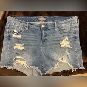 Torrid Blue Denim Jeans